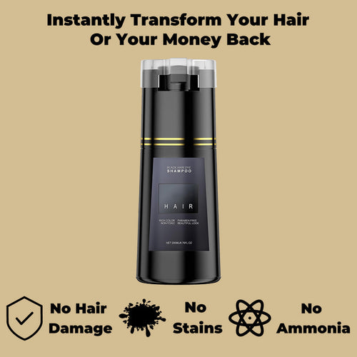 Natural Black Hair Color Shampoo