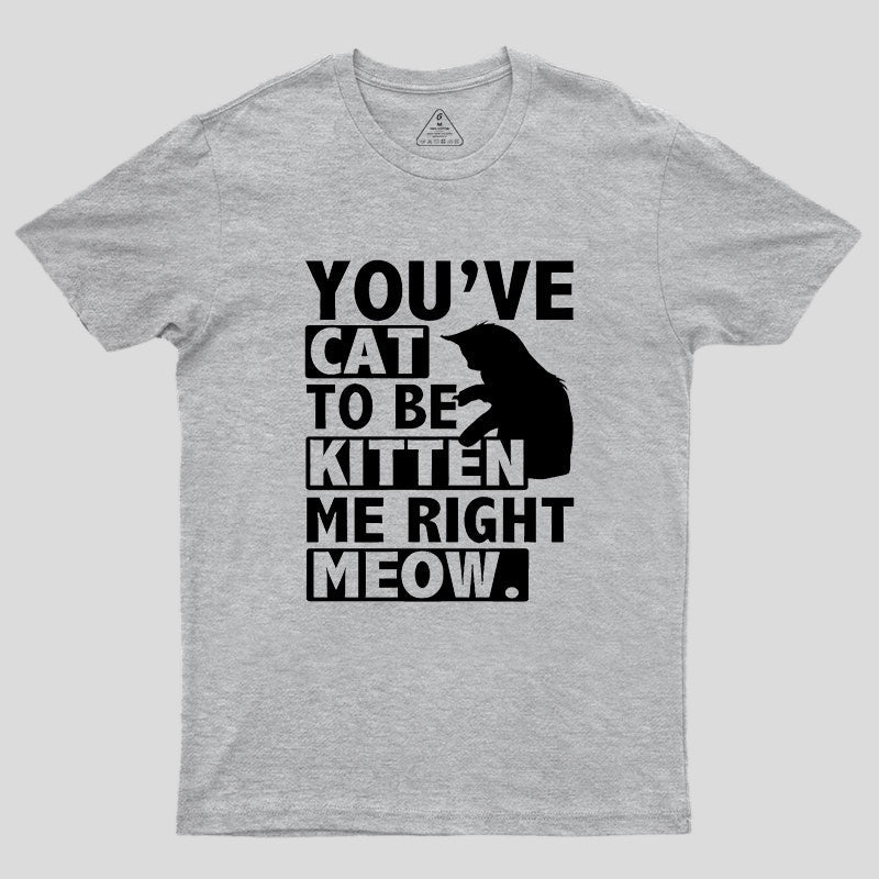 You've Cat To Be Kitten Me Right Meow Geek T-Shirt