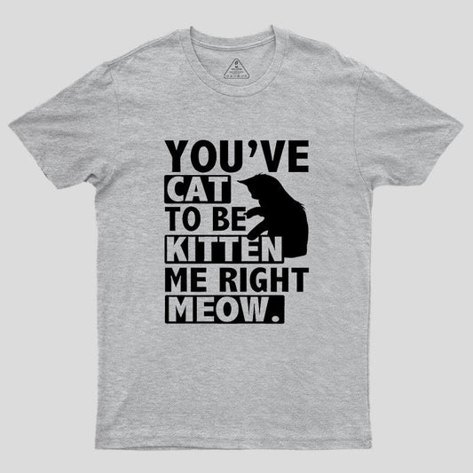 You've Cat To Be Kitten Me Right Meow Geek T-Shirt