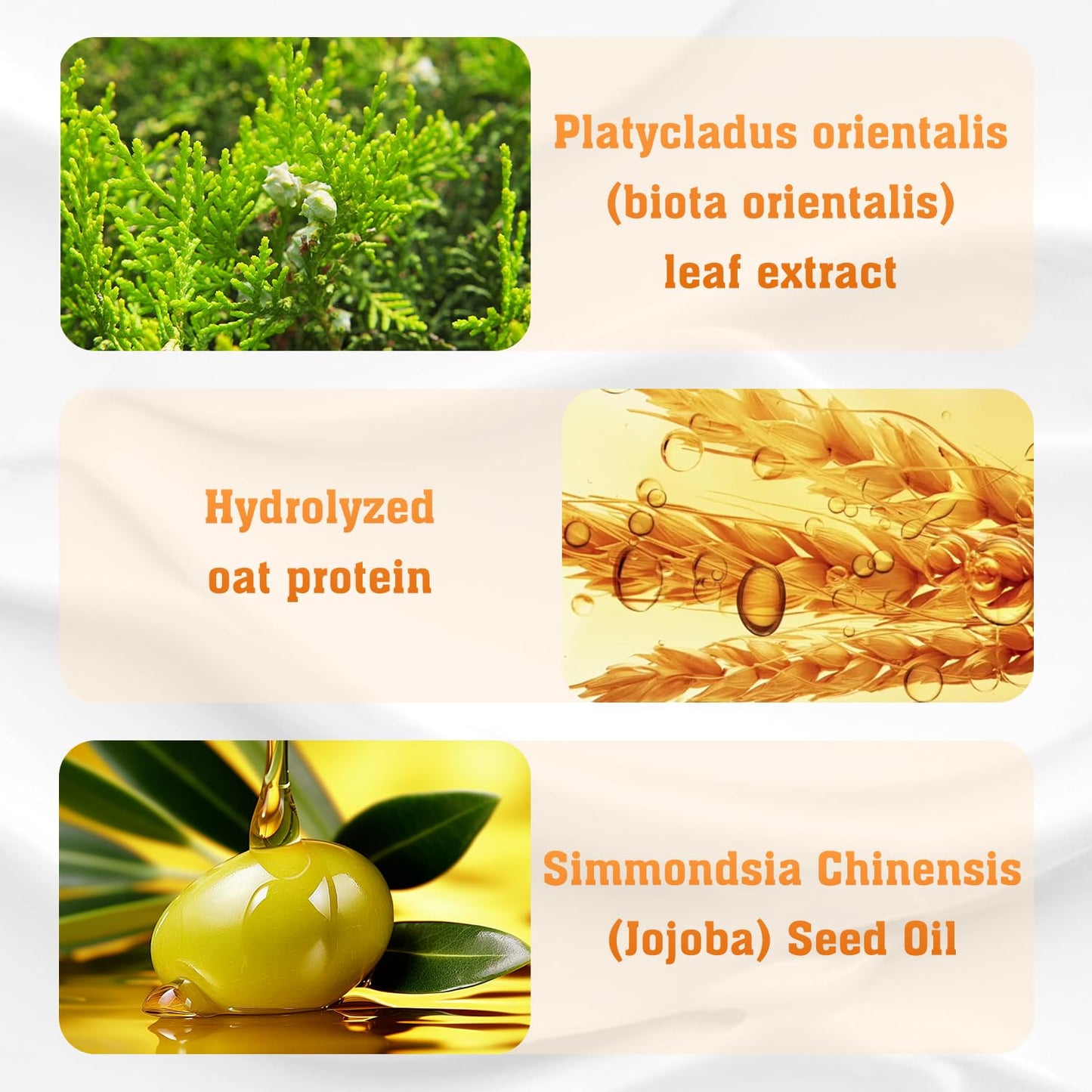 Anti-Hair Fall Hair Loss Shampoo